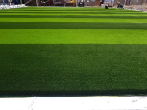 High Quality Artificial Grass for Football and Soccer (W55)