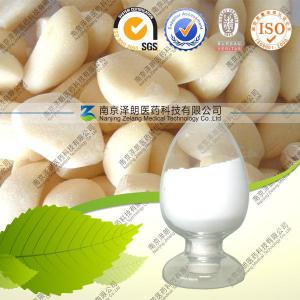 Natural Garlic Extract Powder Nlt 4% Allicin